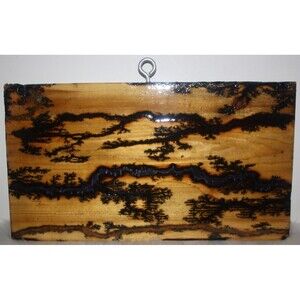 Handmade Native Pine Lichtenberg Woodburning Wall Plaque Fractal Burn Craft New